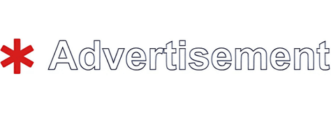 IVS Software – SEO Agency team working on content strategy